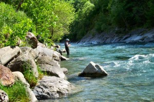 Pêche à la truite  